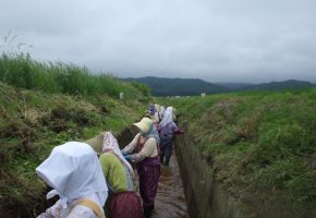 No.15「排水路の欠損部の補修」中沢地域水土里保全隊（蓬田村）