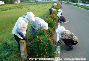 No.35「マリーゴールド植栽箇所の草取り作業」片岸環境保全隊（南部町）