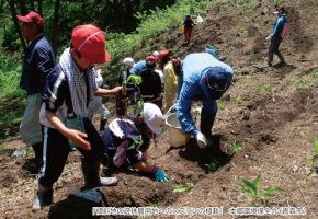 No.40「傾斜地の遊休農用地へのスズランの植栽」本郷環境保全会（青森市）