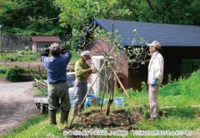 No.41「シンボル樹「やまぼうし」の植林」下川原地区自然を守る会（三戸町）