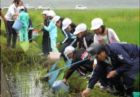 No.43「天間東小学校のPTAと連携した生き物調査」七戸地域水土里保全会（七戸町）