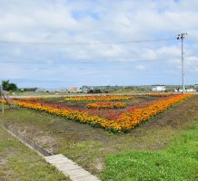 福原保全会（つがる市）②