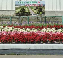 美土里の会・大袋（田舎館村）②