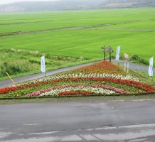 七戸（土場川）地域水土里保全会（七戸町）②