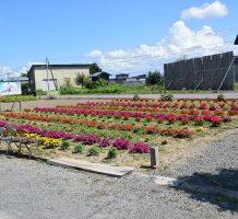 種井環境保全会（五所川原市）②