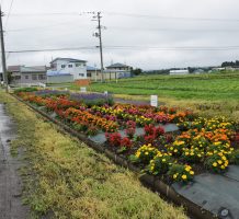 赤沼農地・水・環境保全会（十和田市）②