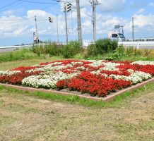 五林平保全会（板柳町）②