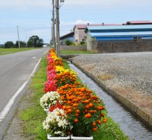 土滝・加納保全会（つがる市）②