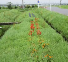 三本木地域水土里保全隊（おいらせ町）②