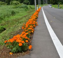 外童子大地保全の会（平内町）②