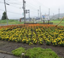 戸鎖地域水土里保全隊（六ヶ所村）②