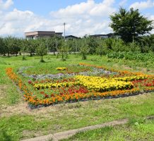 常海橋保全会（板柳町）②