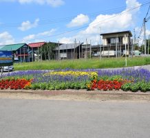 常海橋保全会（板柳町）②