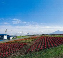 藻川環境保全会（五所川原市）①