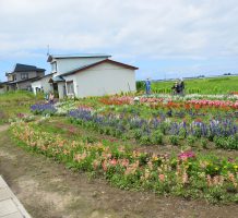 沼崎保全会（つがる市）②