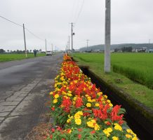 藤島・小山地域保全隊（十和田市）②