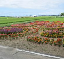 沖善津保全会（つがる市）②