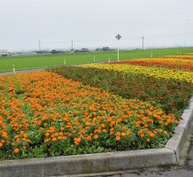 相坂・大和地域保全隊②