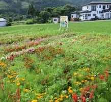 鬼袋活動組織（鰺ヶ沢町）②