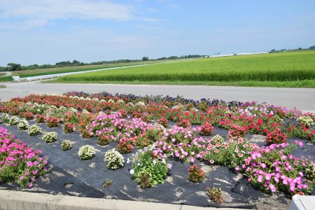 ⑥松館（平川市）★