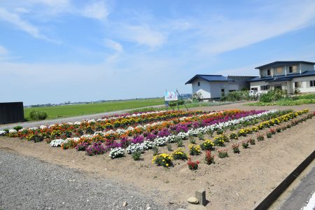 ②種井（五所川原市）★