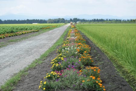 ②吾郷（十和田市）★