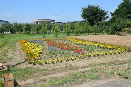 ②常海橋（板柳町）★