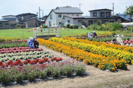 ③高瀬（五所川原市）★