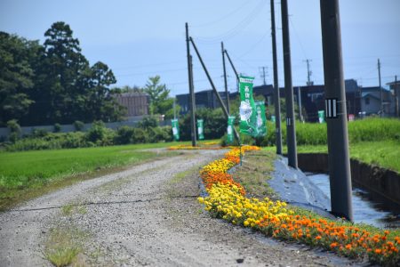 ②西田沢（青森市）★