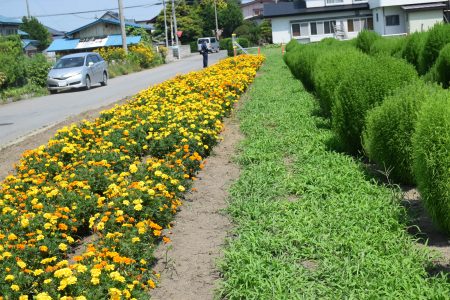 ④八農会（平川市）★