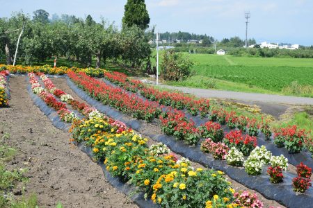 ⑤さるか（平川市）★