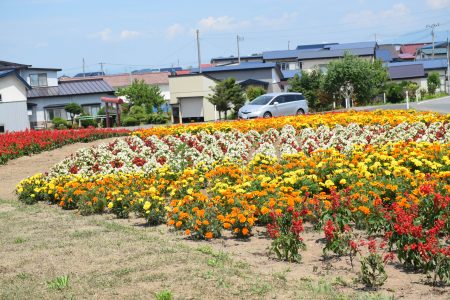 ⑤藻川（五所川原市）★