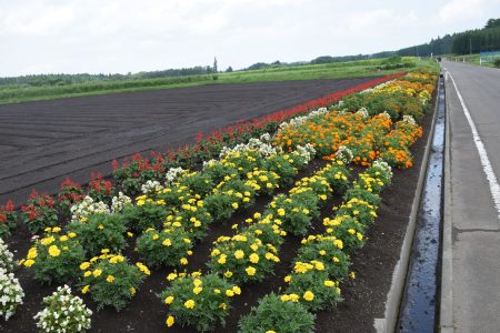 ⑤種原（十和田市）★