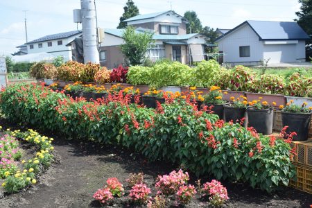 ⑥板ノ沢（十和田市）★