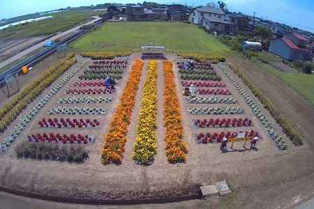 ①高瀬（五所川原市）★