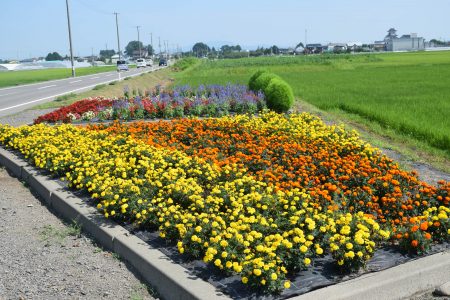 ⑤畑中（田舎館村）★