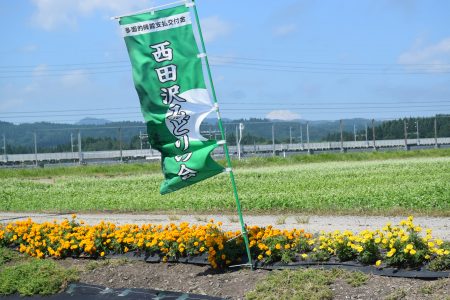 ⑧西田沢（青森市）★