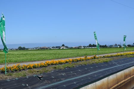 ④西田沢（青森市）★