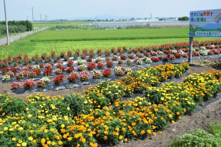 ④さるか（平川市）★