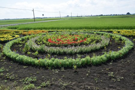 ⑦晴山（十和田市）★