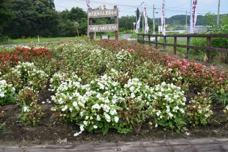 ⑤蛯沢（東北町）★