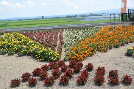 ⑤鶴ヶ岡（五所川原市）★