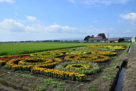 ②晴山（十和田市）★