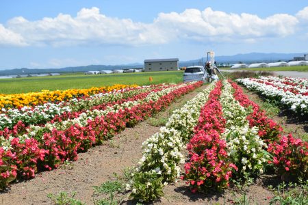 ⑥繁田・繁萢（つがる市）★