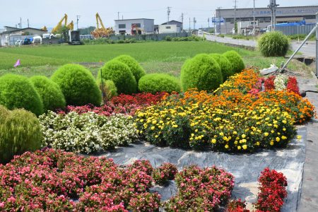 ④日沼（平川市）★