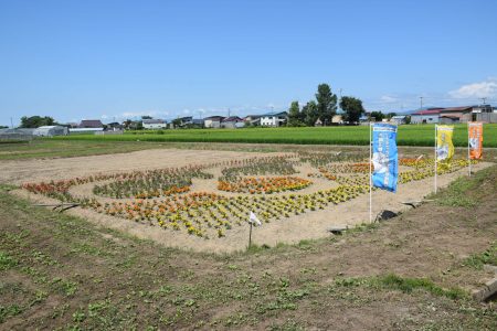 ②沖善津（つがる市）★