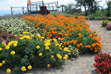 ⑥鶴ヶ岡（五所川原市）★