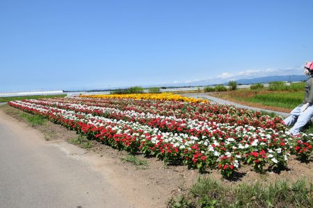 ④繁田・繁萢（つがる市）★