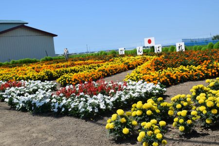 ③沼崎（つがる市）★