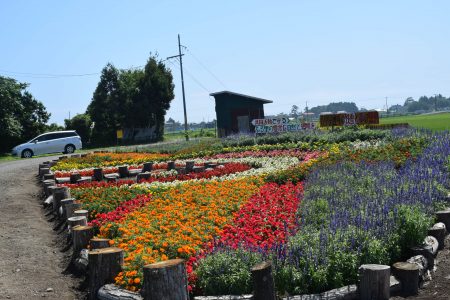 ④長科（蓬田村）★